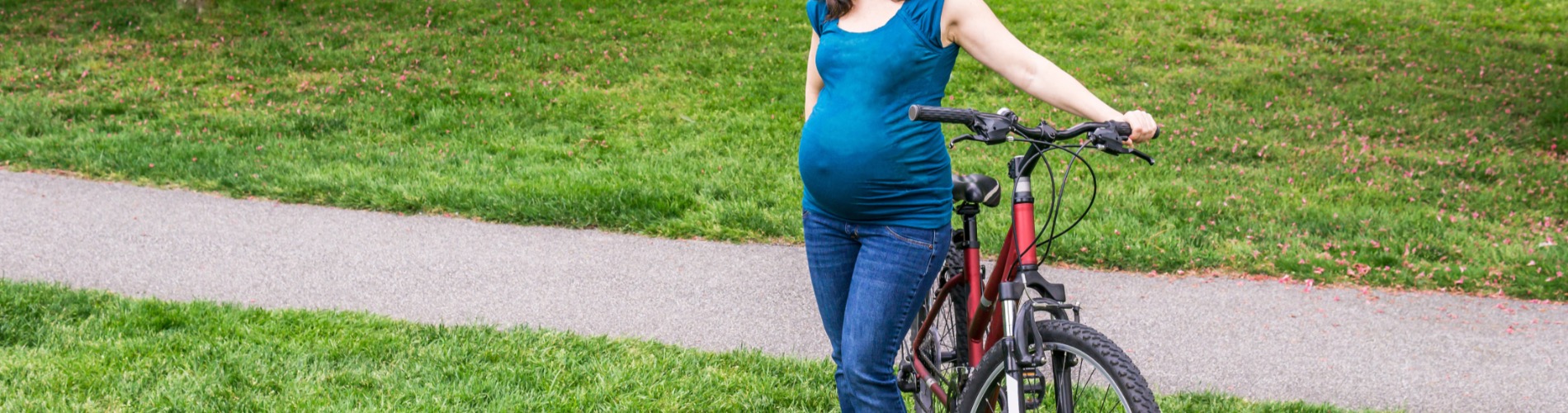 SGS Fietsen